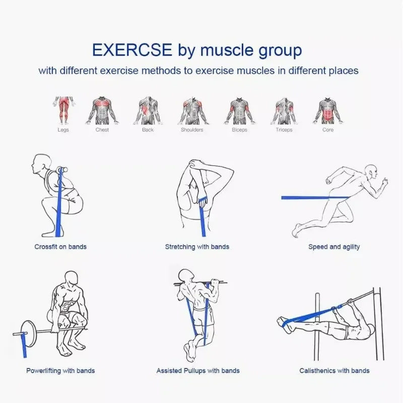MuscleForge Exercise Resistance Bands Set for Full-Body Workouts