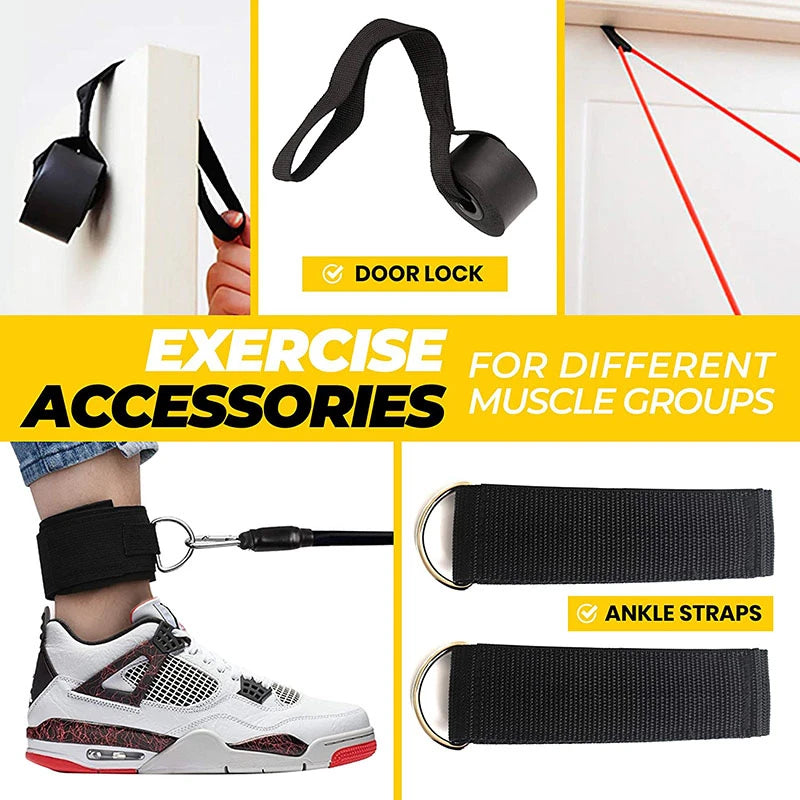MuscleForge Resistance Bands Kit for Versatile Workouts