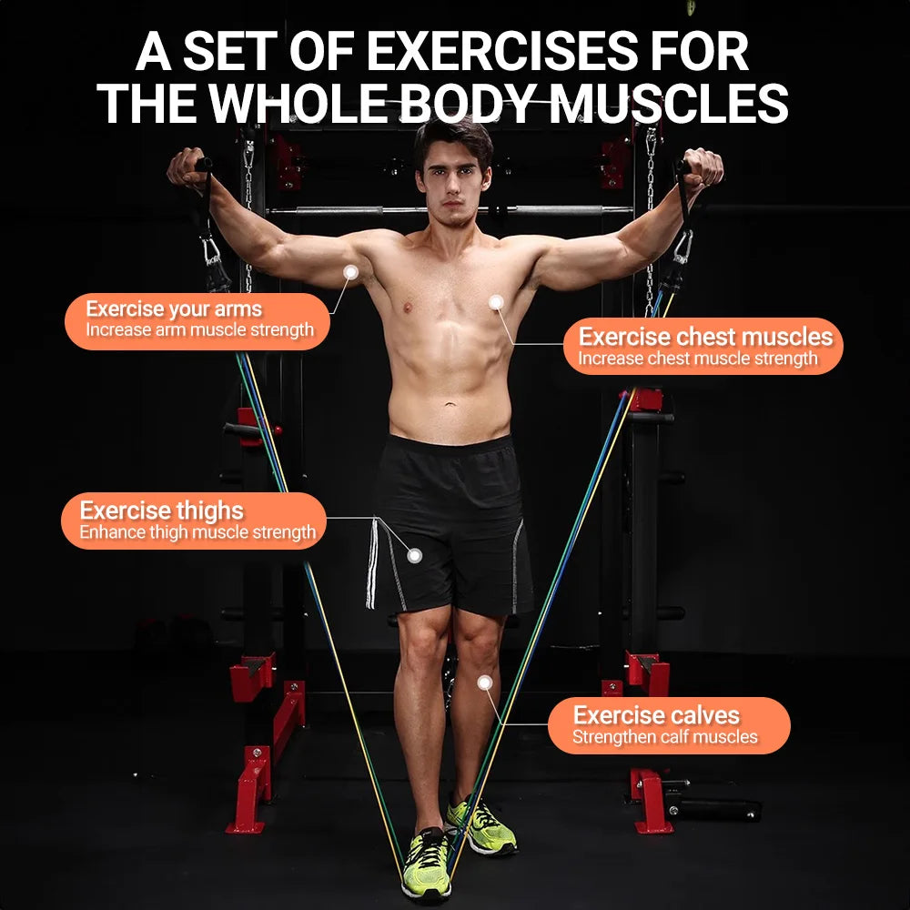 MuscleForge Complete Resistance Band Set with Attachments